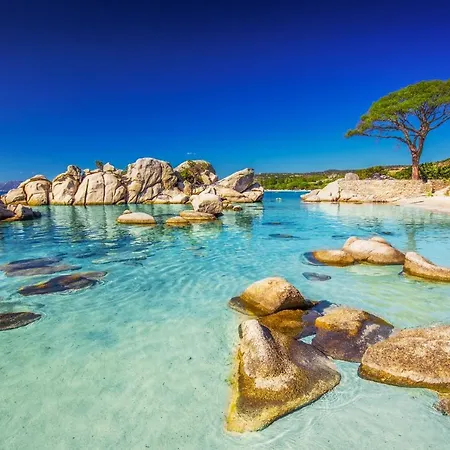 Apartment A Suara- Corse- 2 5 A 7 Pers, Jardin Et Piscine Porto-Vecchio (Corsica)